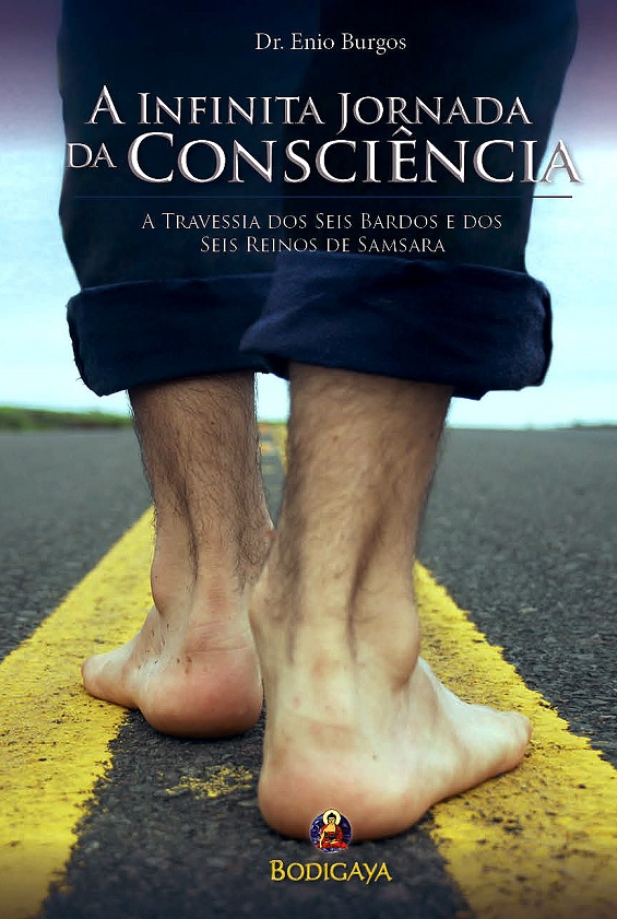 A Infinita Jornada da Consciência