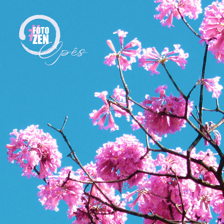 #FotoZen