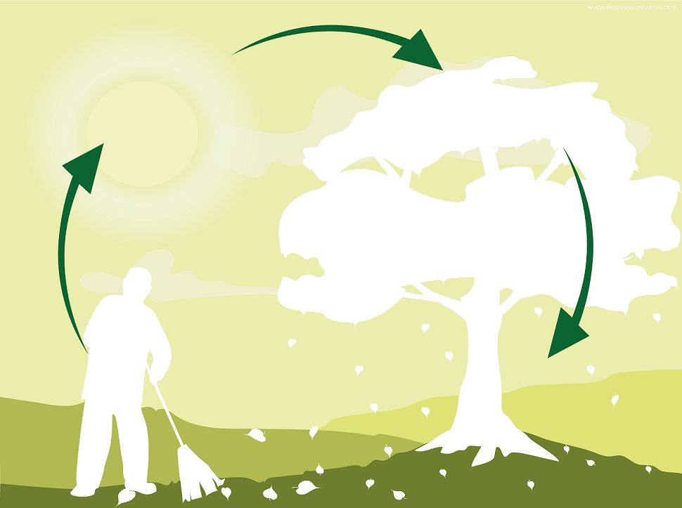 A Impermanência e o Carbono