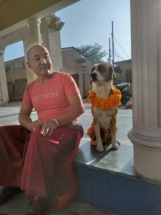 A Dedicação aos Animais