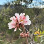 A prisão e a generosidade, um caminho possível