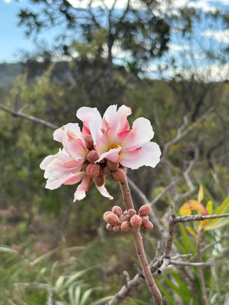 A prisão e a generosidade, um caminho possível