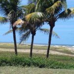 Começando a refletir sobre a existência