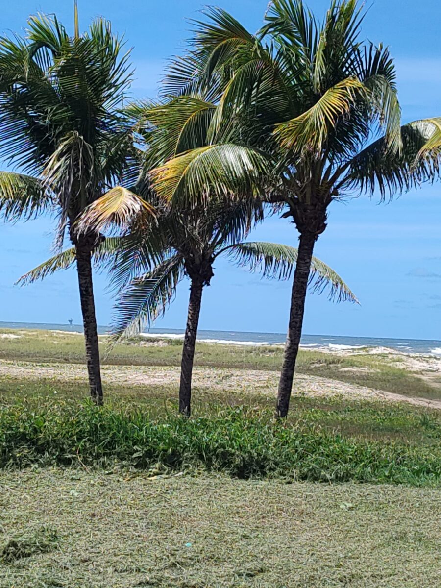 Começando a refletir sobre a existência